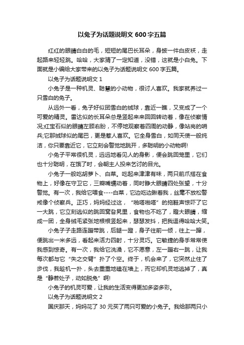 以兔子为话题说明文600字五篇