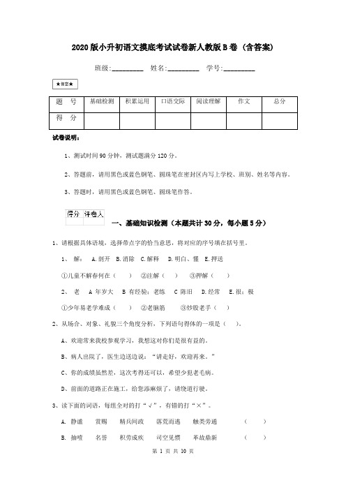 2020版小升初语文摸底考试试卷新人教版B卷 (含答案)