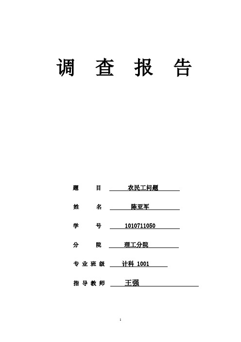 关于农民工问题的调查报告