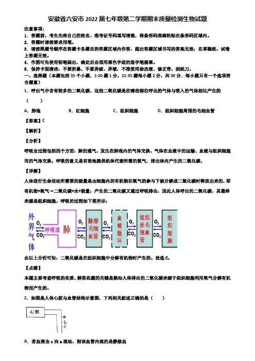 安徽省六安市2022届七年级第二学期期末质量检测生物试题含解析