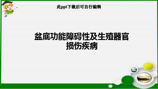 盆底功能障碍性及生殖器官损伤疾病ppt课件