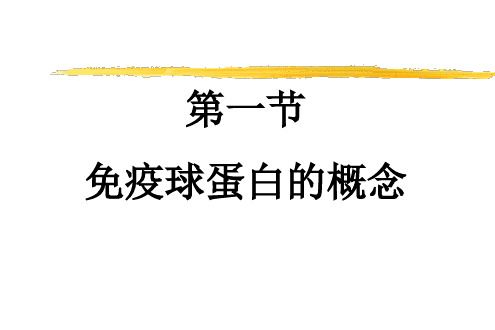 免疫球蛋白基因和基因工程抗体