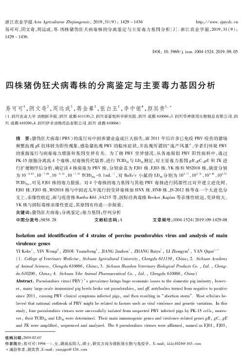 四株猪伪狂犬病毒株的分离鉴定与主要毒力基因分析
