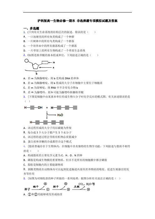 沪科版高一生物必修一期末 非选择题专项模拟试题及答案