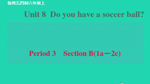 六年级英语上册Unit8SectionB1a_2c习题课件鲁教版五四制ppt