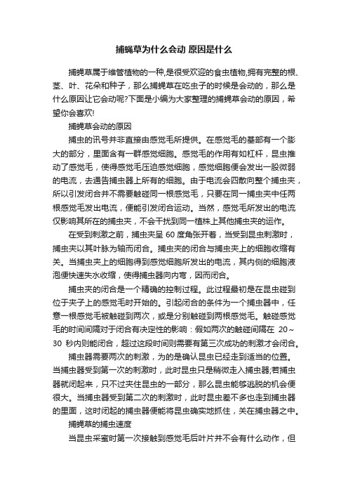 捕蝇草为什么会动原因是什么