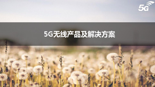 5G无线产品及解决方案