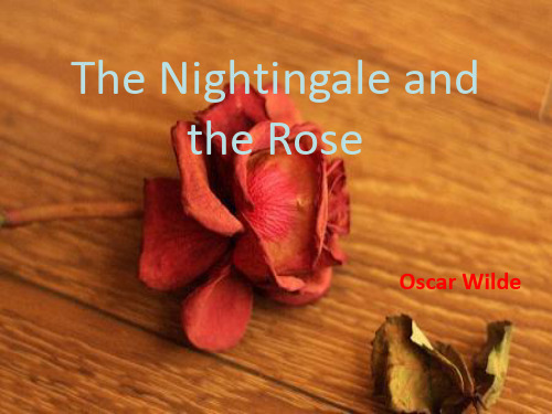 The Nightingale and the Rose 夜莺与玫瑰