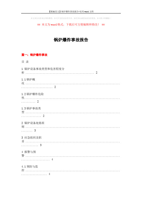 【精编范文】锅炉爆炸事故报告-实用word文档 (12页)