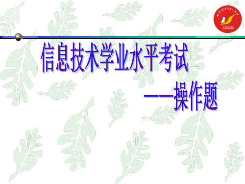 信息技术学业水平考试(2).ppt