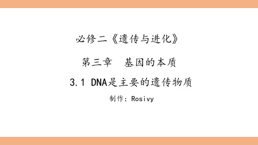 DNA是主要的遗传物质课件-2022-2023学年高一下学期生物人教版(2019)必修2