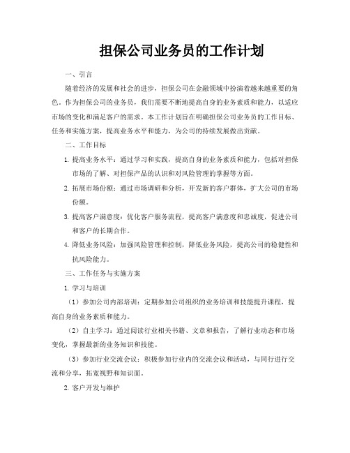 担保公司业务员的工作计划