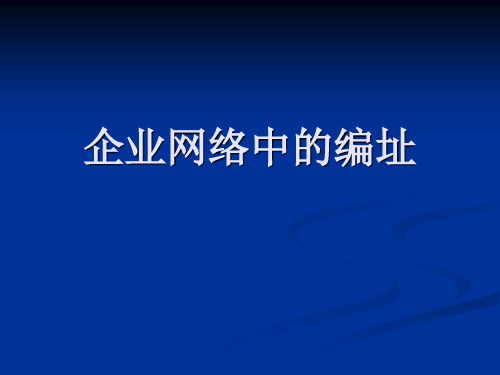 企业网络中的编址