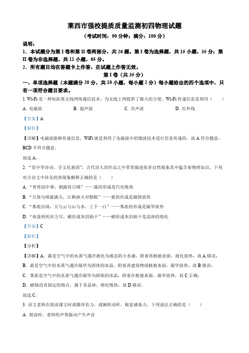 山东省青岛市莱西市济南路中学实验中学等2023-2024学年九年级下学期3月月考物理试题(解析版)