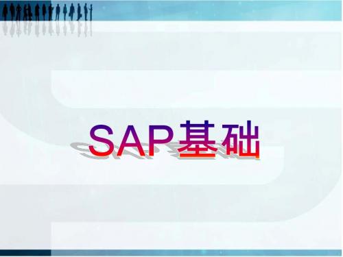 SAP管理系统基础应用培训