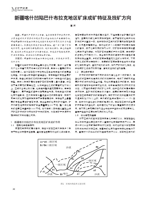 新疆喀什凹陷巴什布拉克地区矿床成矿特征及找矿方向