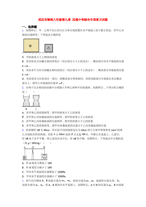 武汉市物理八年级第九章 压强中考综合专项复习训练