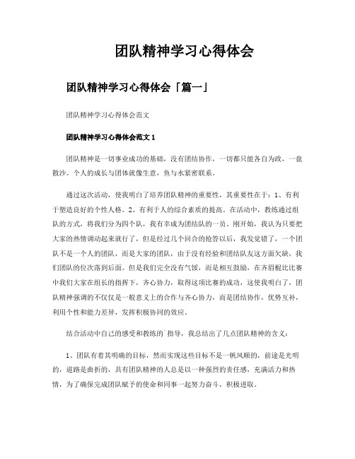 团队精神学习心得体会