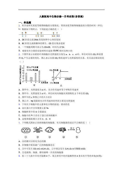 人教版高中生物必修一月考试卷(含答案)