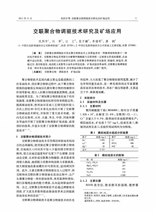 交联聚合物调驱技术研究及矿场应用