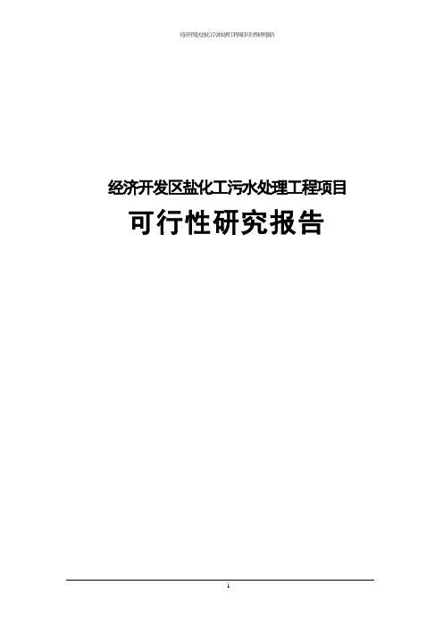 经济开发区盐化工污水处理工程项目可行性研究报告