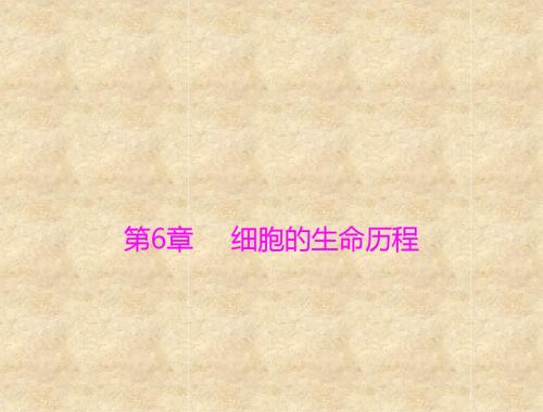 高三生物一轮总复习 必修1 第6章 第1节 细胞的增殖[配套课件] 含答案