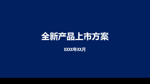 全新产品上市方案精品示范22张)