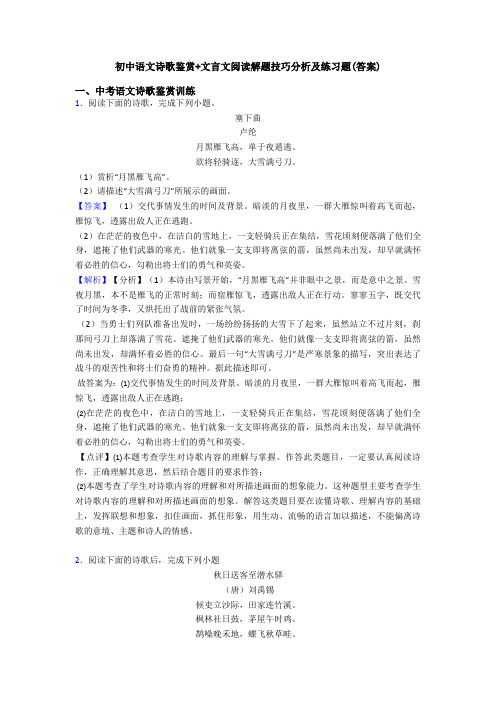 初中语文诗歌鉴赏+文言文阅读解题技巧分析及练习题(答案) (3)