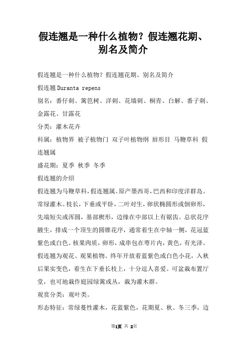 假连翘是一种什么植物?假连翘花期、别名及简介