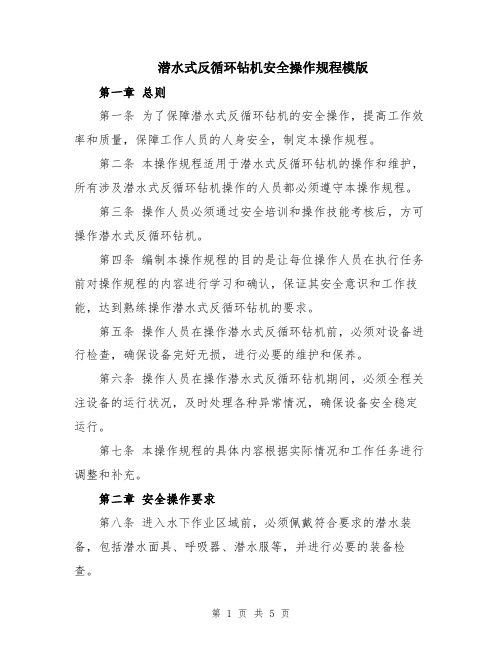 潜水式反循环钻机安全操作规程模版