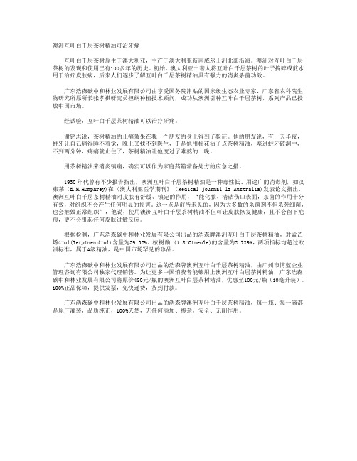 澳洲互叶白千层茶树精油可治牙痛