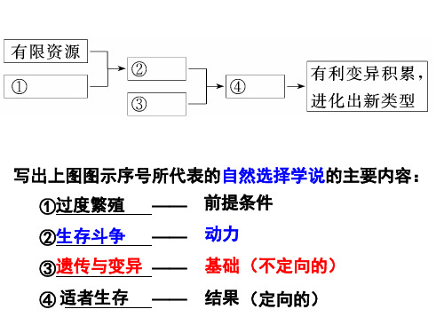 沪科版生物高中第三册-9.2  生物进化理论(二) 课件 