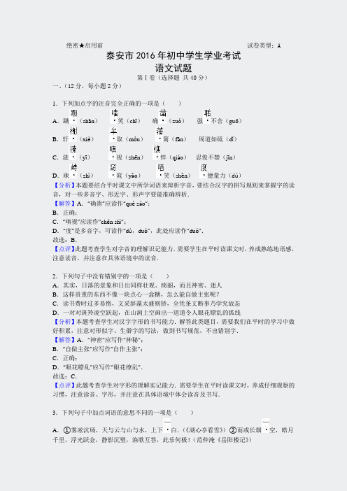 人教中考版语文-2016年山东省泰安市试卷解析版