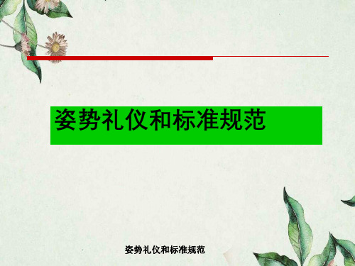 姿势礼仪与标准规范