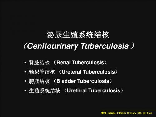 最新泌尿教学课件12-泌尿系统结核1-药学医学精品资料