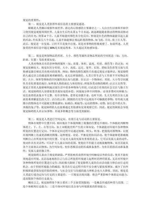 视觉的重要性