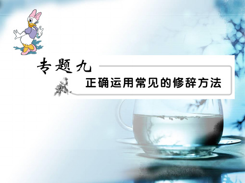 2011年高考语文模块突破复习9--正确运用常见的修辞方法28页PPT文档