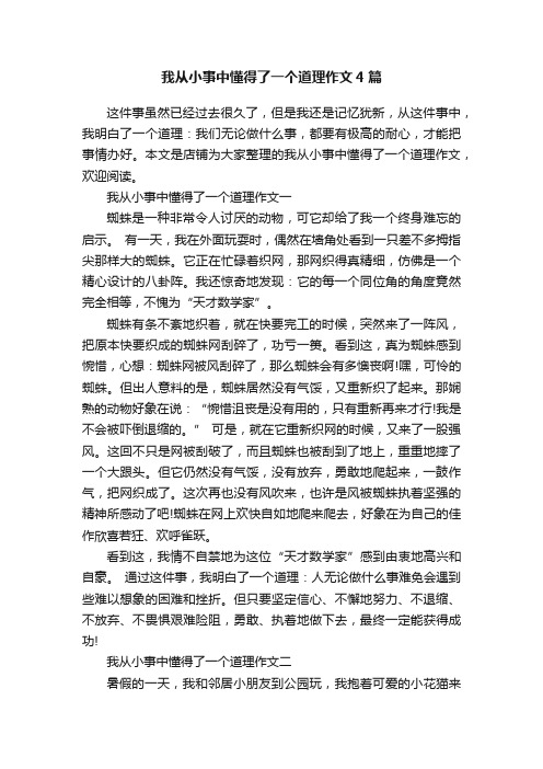 我从小事中懂得了一个道理作文4篇