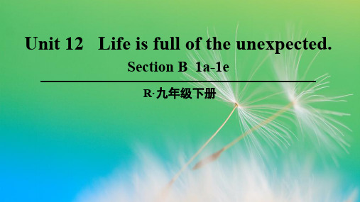 人教版九年级英语全Unit 12 Life is full of the unexpected Section B 1a-1e教学课件