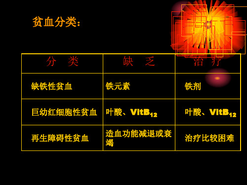 24章抗贫血药