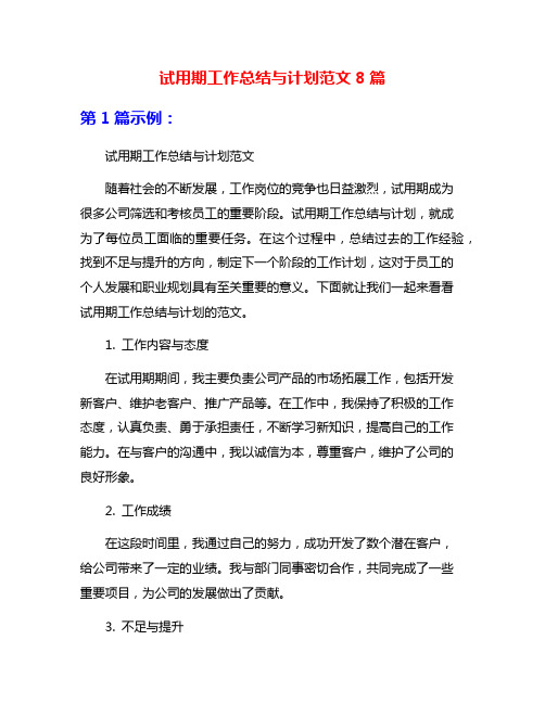 试用期工作总结与计划范文8篇