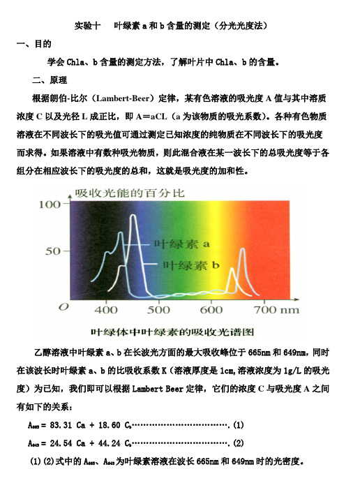 实验十  叶绿素a和b含量的测定