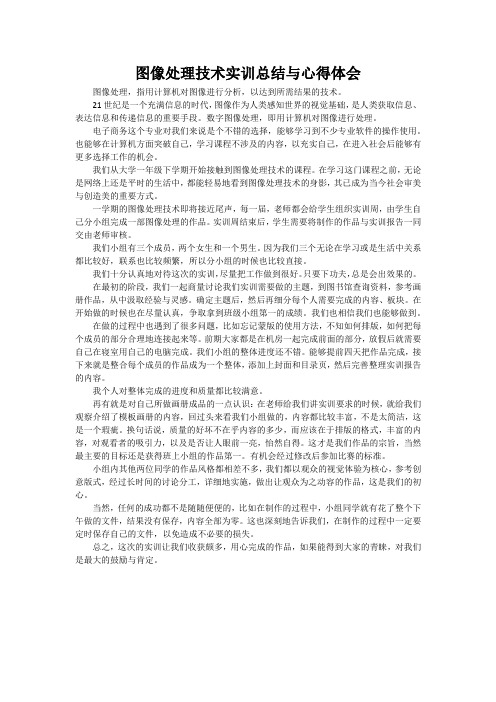 图像处理技术实训总结与心得体会