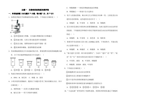 2024年一轮复习：主题一  生物体的结构层次测评生物试题