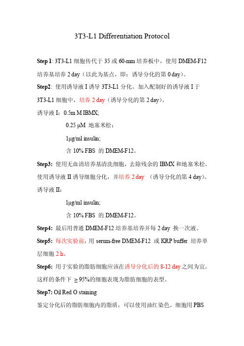 脂肪细胞分化方法3T3-L1DifferentiationProtocol