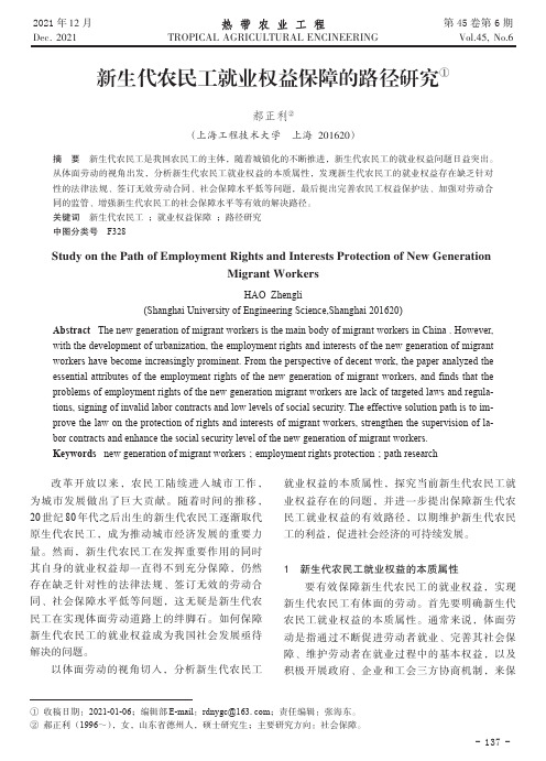 新生代农民工就业权益保障的路径研究