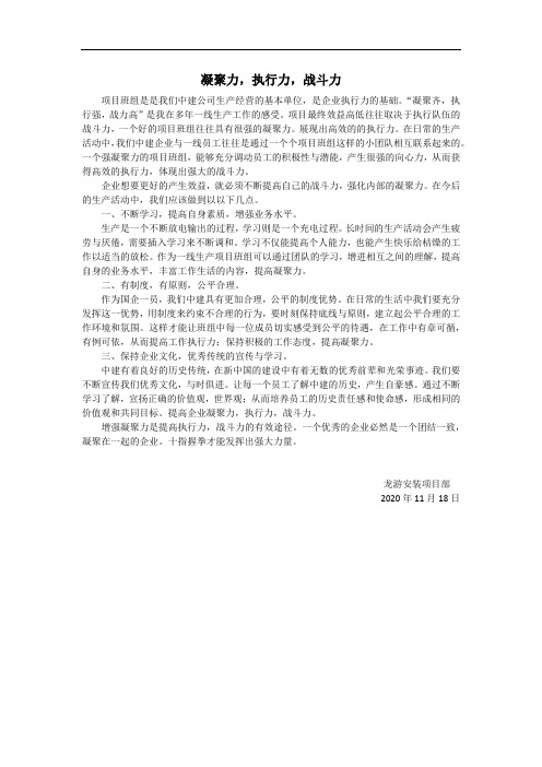 龙游项目凝聚力战斗力执行力征文