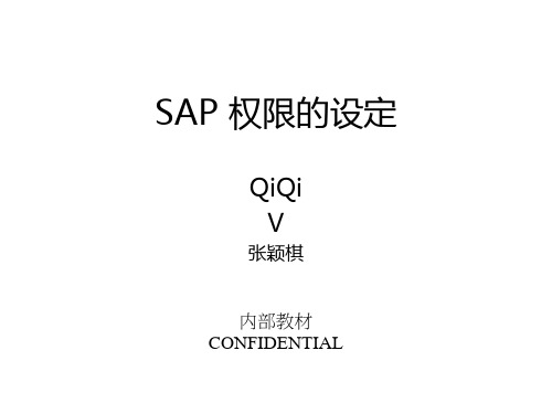 SAP用户权限的设定