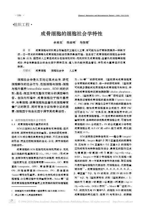 成骨细胞的细胞社会学特性