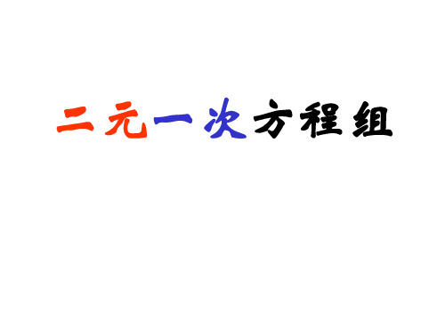 人教版初三数学二元一次方程组4